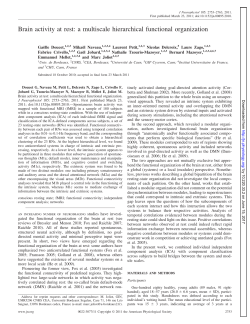 Brain activity at rest: a multiscale hierarchical functional organization