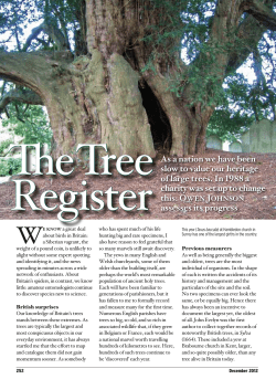 Creating a tree register