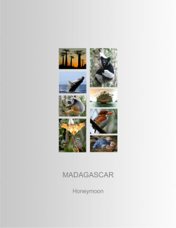 madagascar - Cortez Travel