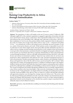 Raising Crop Productivity in Africa through Intensification