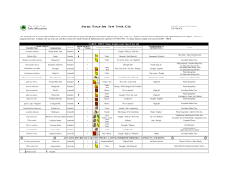Street Tree Species List