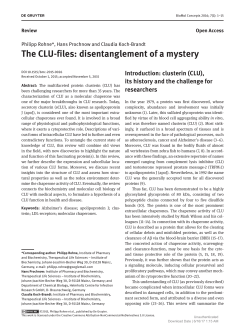 The CLU-files: disentanglement of a mystery