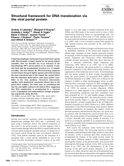 Structural framework for DNA translocation via the viral portal protein