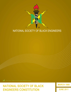 NATIONAL SOCIETY OF BLACK ENGINEERS CONSTITUTION