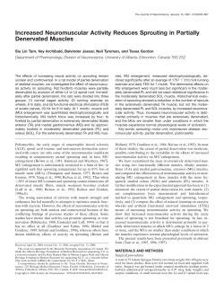 Increased Neuromuscular Activity Reduces Sprouting in Partially