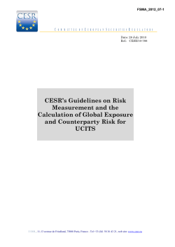 CESR&middot;s Guidelines on Risk Measurement and the