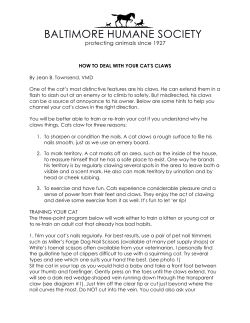 HOW TO DEAL WITH YOUR CAT`S CLAWS By Jean B. Townsend