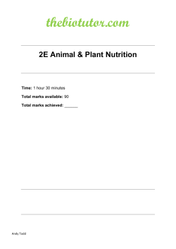 File - thebiotutor.com