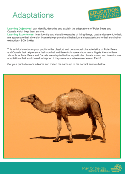 Adaptations - Glasgow Science Centre