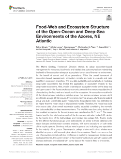 Food-Web and Ecosystem Structure of the Open