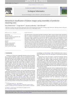Hierarchical classification of diatom images using ensembles of