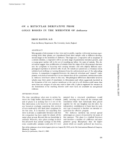 ON A RETICULAR DERIVATIVE FROM GOLGI BODIES IN THE