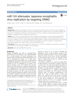 miR-124 attenuates Japanese encephalitis virus replication by