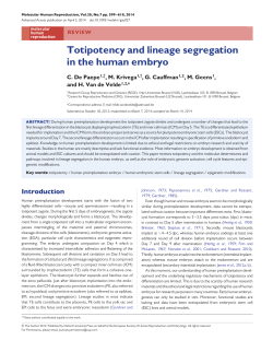 Totipotency and lineage segregation in the