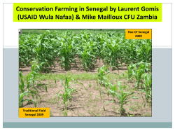 Senegal - Conservation Farming Unit