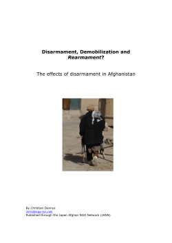 Disarmament, Demobilization and Rearmament? The effects of