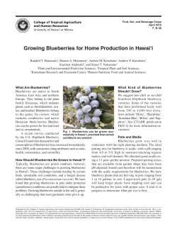 Growing Blueberries for Home Production in Hawai`i