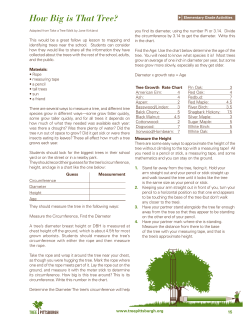 How Big is That Tree?