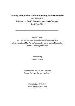 Diversity and Abundance of Sulfur-Oxidizing Bacteria in