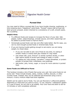 Pureed Diet