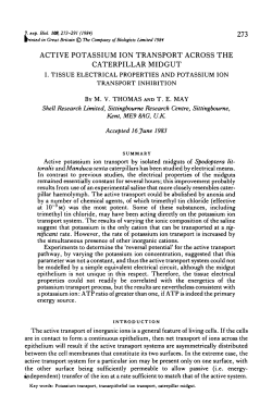 active potassium ion transport across the caterpillar midgut
