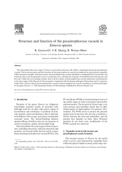 Structure and function of the parasitophorous vacuole