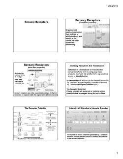 Sensory Receptors