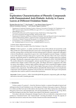 Exploratory Characterization of Phenolic Compounds with