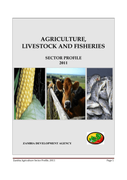 Sector Profile - Agriculture