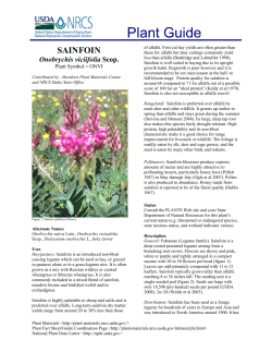 SAINFOIN Plant Guide - Agriculture Research