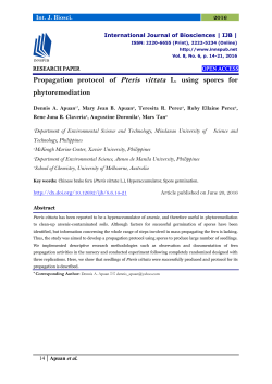 Propagation protocol of Pteris vittata L. using spores for