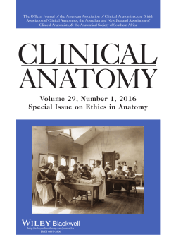 Clinical Anatomy