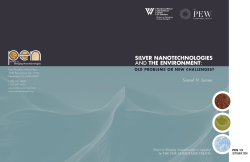 silver nanotechnologies and the environment