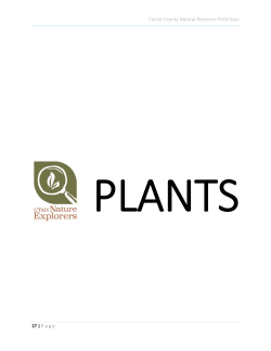 Plants