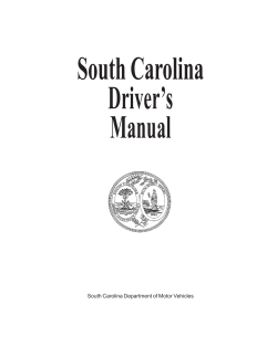 South Carolina Driver`s Manual - Driving