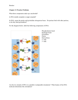 Brooker Chapter 11 Practice Problems What three components