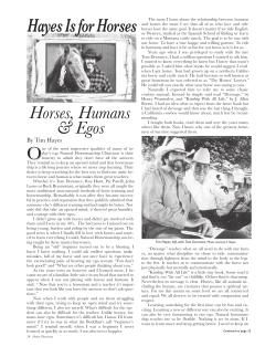 Horses, Humans, and Egos