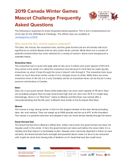 Mascot Challenge Frequently Asked Questions
