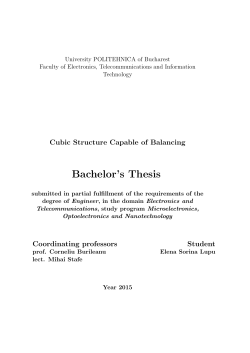 Bachelor`s Thesis