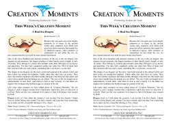 A Real Sea Dragon - Creation Moments