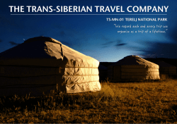 the trip dossier - Trans