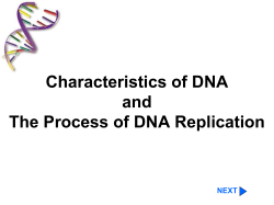 Characteristics of DNA and The Process of DNA Replication