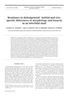 Full text in pdf format