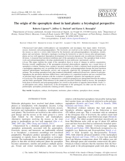 The origin of the sporophyte shoot in land plants