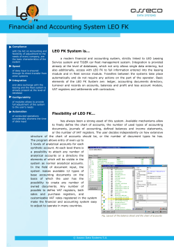 Financial and Accounting System LEO FK