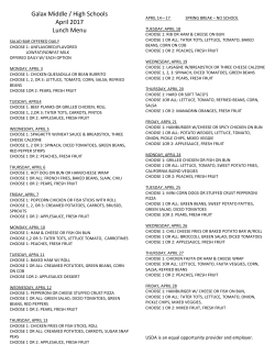 Galax Middle / High Schools April 2017 Lunch Menu