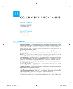 color vision mechanisms - David Brainard