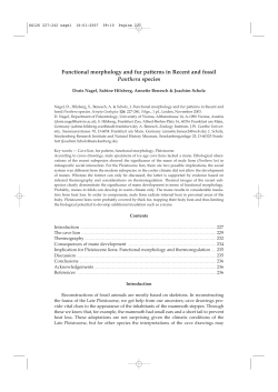 Functional morphology and fur patterns in Recent and fossil