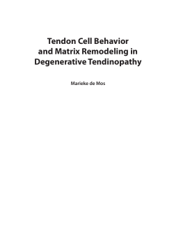 Free Full Text ( Final Version , 2mb ) - EUR RePub