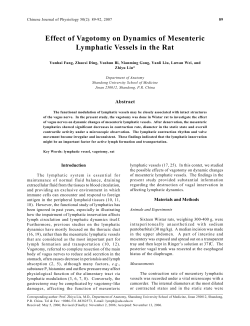 Effect of Vagotomy on Dynamics of Mesenteric Lymphatic Vessels in
